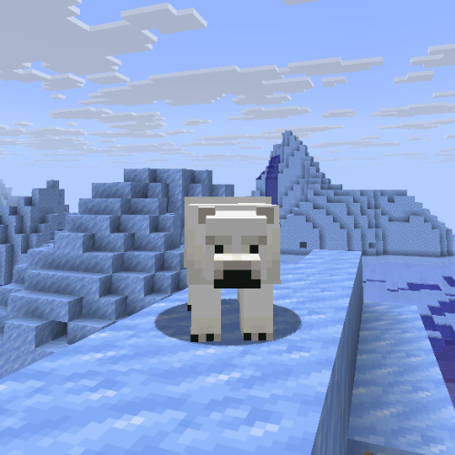 Polarbear Disguise