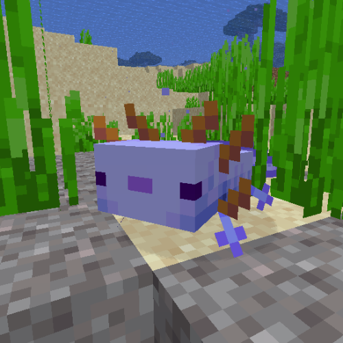 Axolotl Disguise