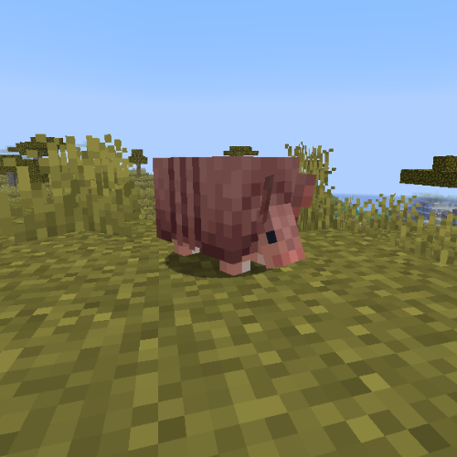 Armadillo Disguise