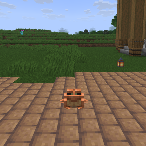 Frog Disguise